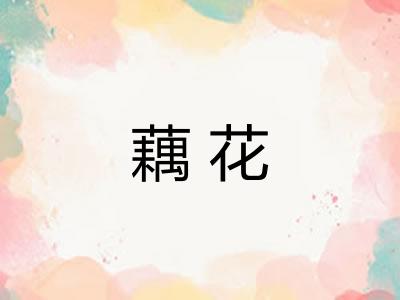 藕花