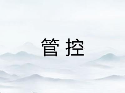 管控