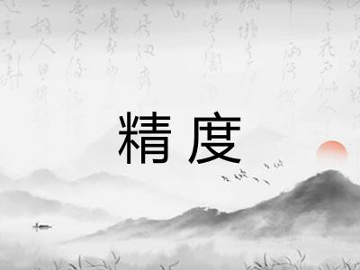 精度