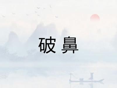 破鼻