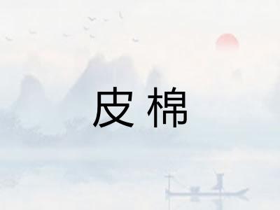 皮棉