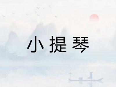 小提琴