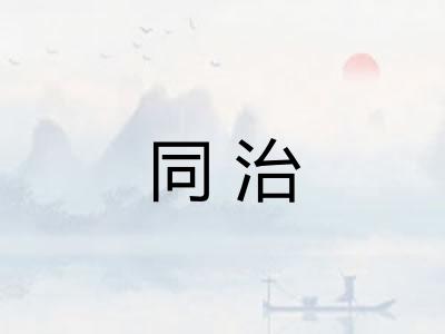 同治