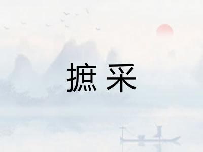 摭采