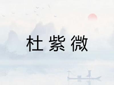 杜紫微