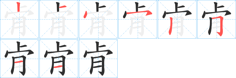 肻的筆順分步演示圖