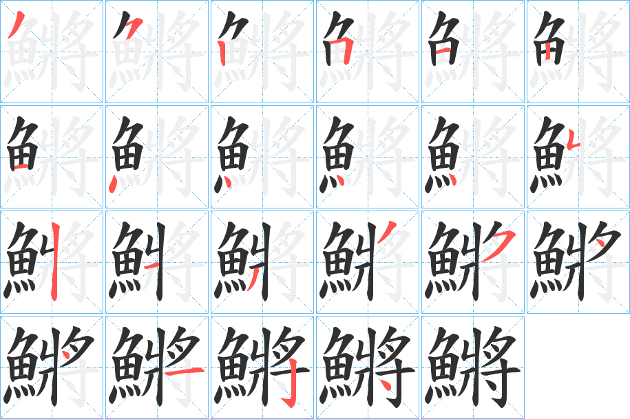 鱂的筆順?lè)植窖菔緢D