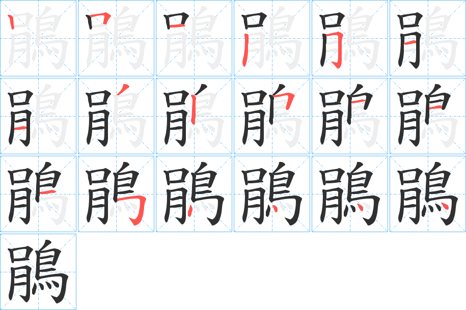 鵑的筆順分步演示圖