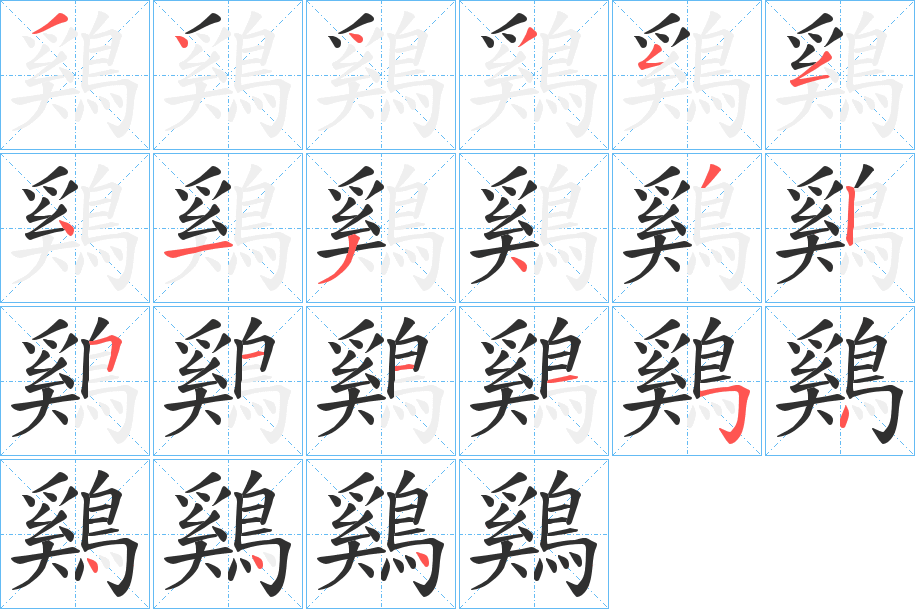 鷄的筆順?lè)植窖菔緢D